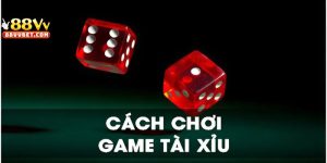 Cách chơi tài xỉu